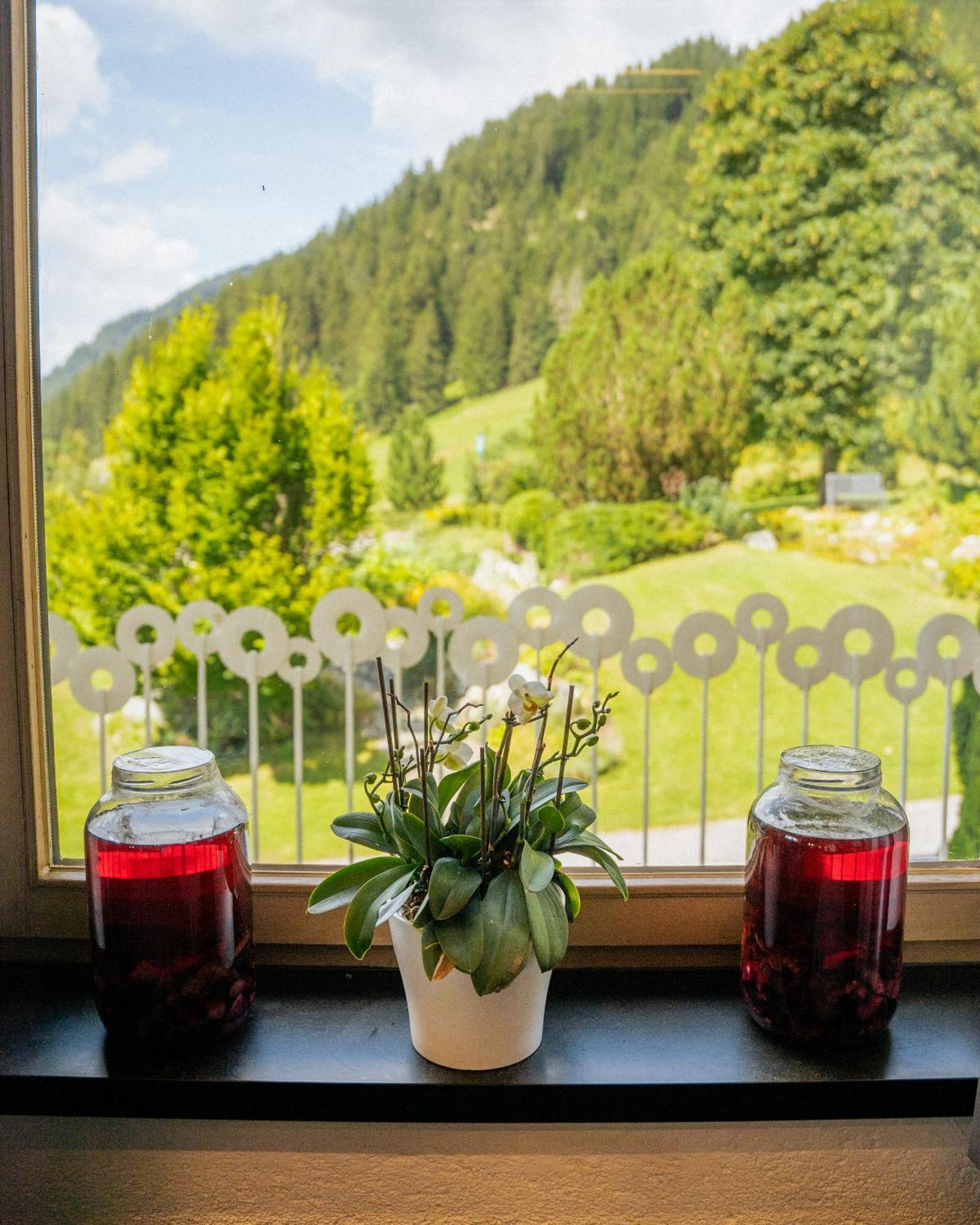 Aparthotel Pfeffermuehle Ramsau am Dachstein Exteriör bild