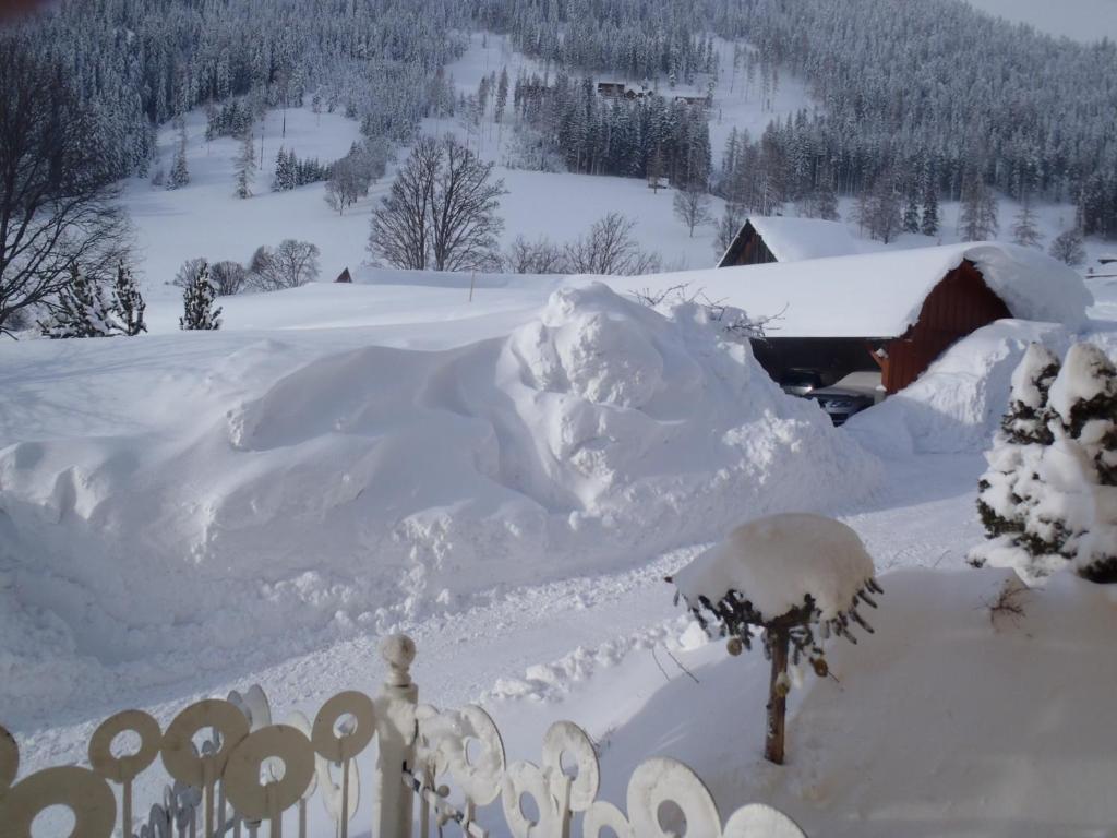 Aparthotel Pfeffermuehle Ramsau am Dachstein Exteriör bild